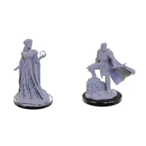 Critical Role Unpainted Miniatures: Xhorhasian Mage & Xhorhasian Prowler-90665
