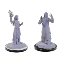 D&D Nolzur's Marvelous Miniatures: Elf Wizards-90672