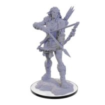 Pathfinder Deep Cuts Miniatures: Wood Giant - EN-WZK90688