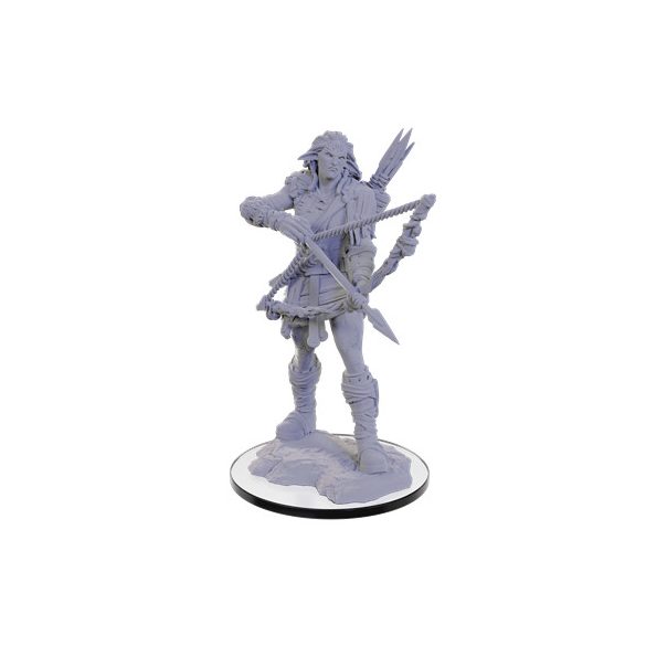 Pathfinder Deep Cuts Miniatures: Wood Giant - EN-WZK90688