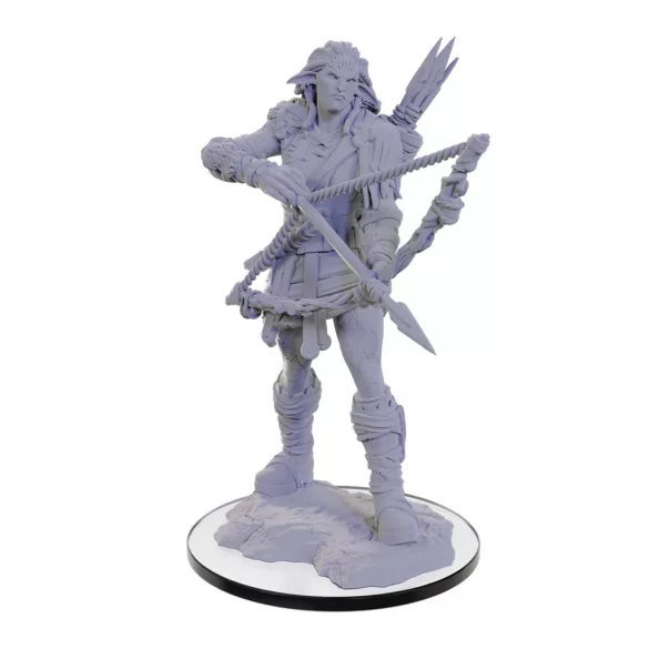 Pathfinder Deep Cuts Miniatures: Wood Giant-90688