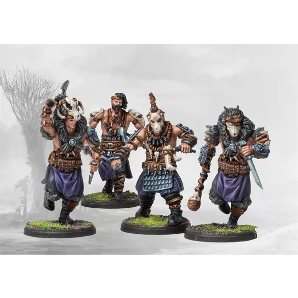 Conquest Nords: Ulfhednar - EN-PBW4414