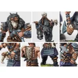 Conquest Nords: Ulfhednar - EN-PBW4414
