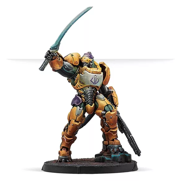 Infinity Reinforcements: Haetae Unit (HMG) - EN-281336-1029