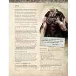 Raiders of the Serpent Sea: Players Guide (5E) - EN-MUH109V002