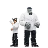 Marvel Legends Series Marvel's Patch and Joe Fixit-F90425L00