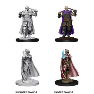 D&D Nolzur’s Marvelous Miniatures: Vampire Hunters-73676