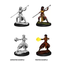 D&D Nolzur’s Marvelous Miniatures: Female Half-Elf Monk-73839