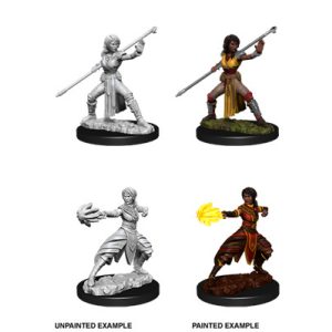 D&D Nolzur’s Marvelous Miniatures: Female Half-Elf Monk - EN-WZK73839
