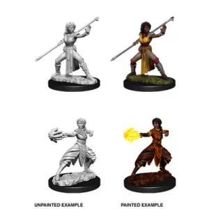D&D Nolzur’s Marvelous Miniatures: Female Half-Elf Monk-73839