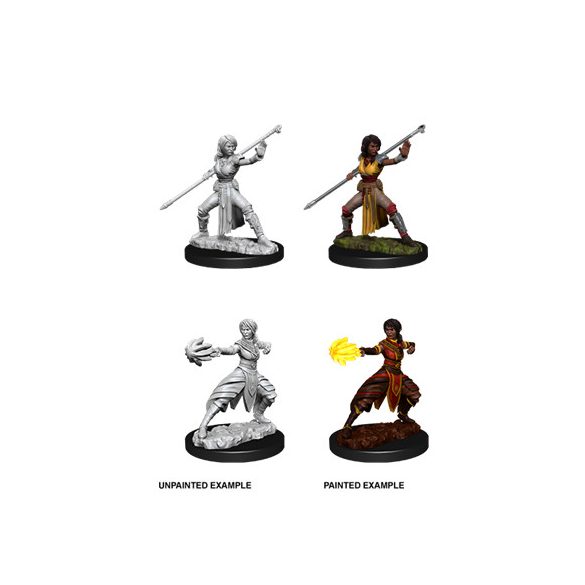 D&D Nolzur’s Marvelous Miniatures: Female Half-Elf Monk - EN-WZK73839