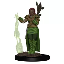 D&D Icons of the Realms Premium Figures: Human Female Druid-93009