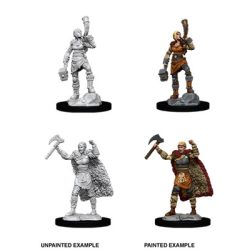 D&D Nolzur's Marvelous Miniatures: Female Human Barbarian - EN-WZK90056