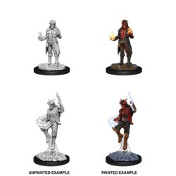 D&D Nolzur's Marvelous Miniatures: Male Tiefling Sorcerer - EN-WZK90058