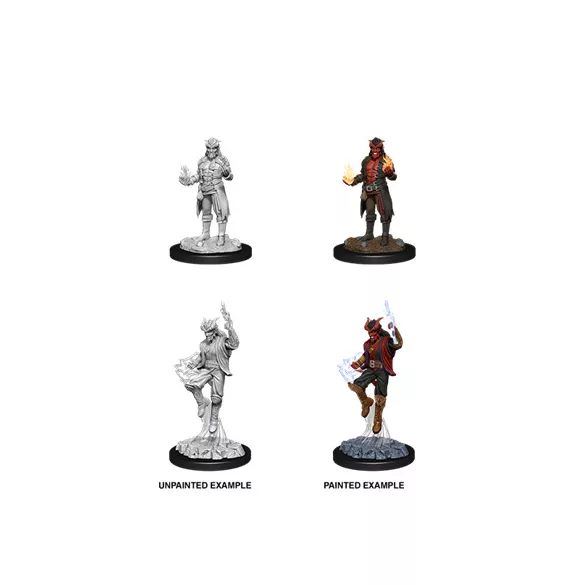 D&D Nolzur's Marvelous Miniatures: Male Tiefling Sorcerer-90058