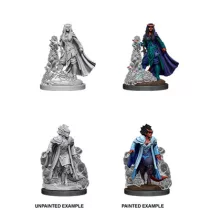 D&D Nolzur's Marvelous Miniatures: Female Tiefling Sorcerer-90059