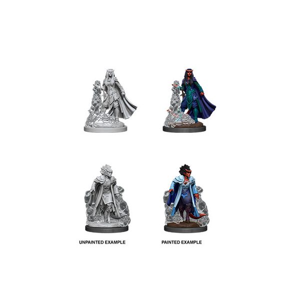 D&D Nolzur's Marvelous Miniatures - Female Tiefling Sorcerer-WZK90059