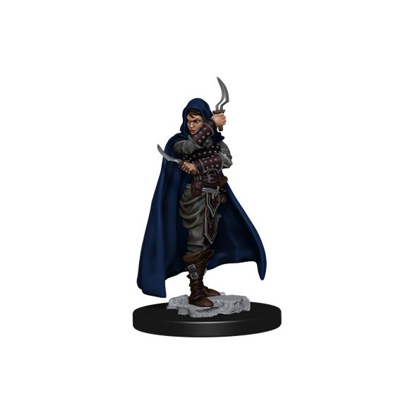 Pathfinder Battles: Premium Painted Figure - Human Rogue Female - EN-WZK77501