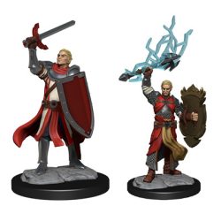 D&D Nolzur's Marvelous Miniatures: Half-Elf Paladin Male - EN-WZK90230