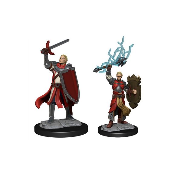D&D Nolzur's Marvelous Miniatures: Half-Elf Paladin Male - EN-WZK90230
