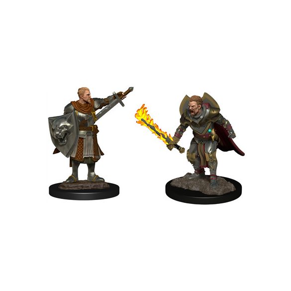 Pathfinder Deepcuts: Human Champion Male-WZK90263