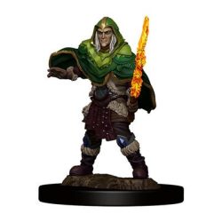 D&D Icons of the Realms Premium Figures: Elf Fighter Male - EN-WZK93039