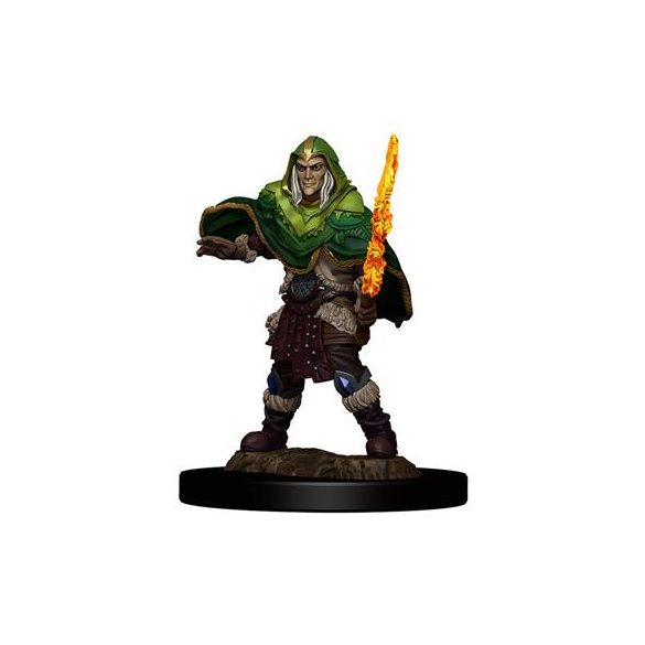 D&D Icons of the Realms Premium Figures: Elf Fighter Male - EN-WZK93039