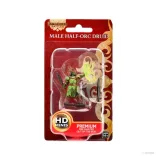 Pathfinder Battles: Premium Painted Figure - Half-Ord Druild Male-WZK77511