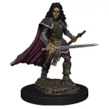 Pathfinder Battles: Premium Painted Figure - Human Bard Female-WZK77509