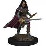 Pathfinder Battles: Premium Painted Figure - Human Bard Female-WZK77509