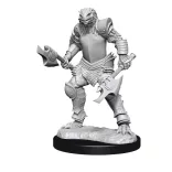 D&D Nolzur's Marvelous Miniatures: Dragonborn Fighter Female-90302