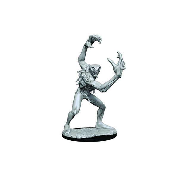 Critical Role Unpainted Miniatures: Aeorian Nullifier-WZK90370
