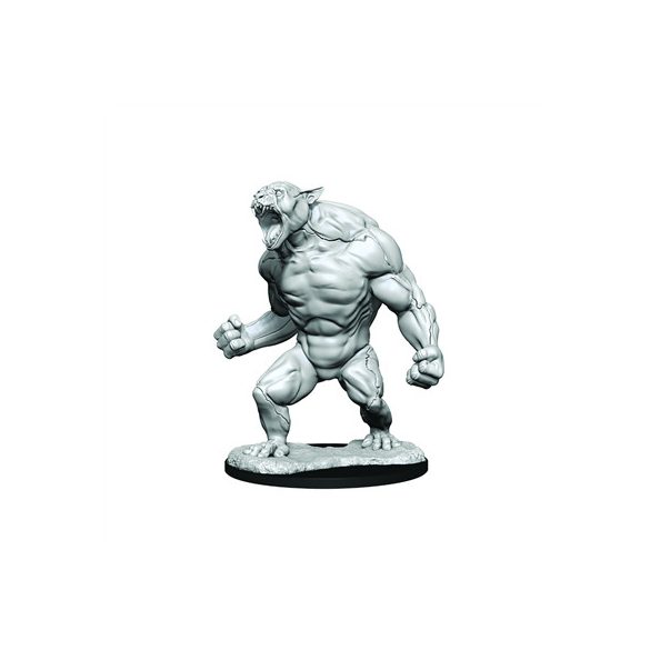 Critical Role Unpainted Miniatures: Aeorian Reverser-WZK90371
