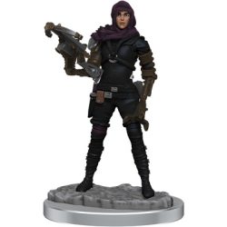 WizKids Deep Cuts: Human Rogue  - EN-WZK90615