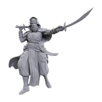 Pathfinder Deep Cuts: Desert Giant - EN-WZK90712