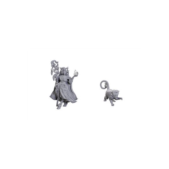 Critical Role Unpainted Miniatures: Fearne Calloway & Mister - EN-WZK90722