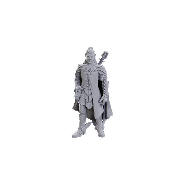 Critical Role Unpainted Miniatures: Dorian Storm - EN-WZK90723