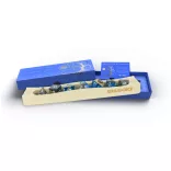 Sirius Dice - Sapphire Grove Limited Edition Dice Set-SDZ0020-03