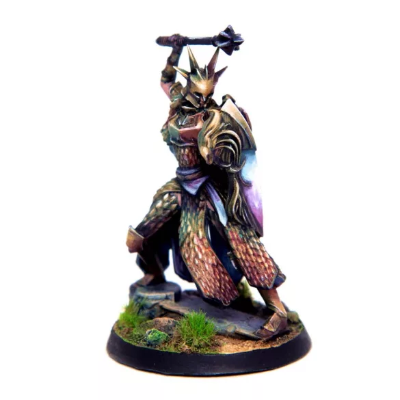 Eldfall Chronicles - Citadel Guard-ELDSMCG01