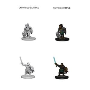 D&D Nolzur's Marvelous Miniatures - Dwarf Female Paladin-WZK72631