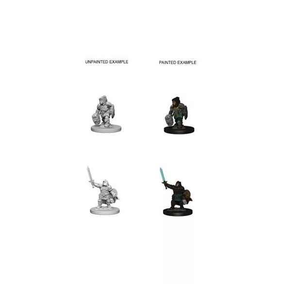 D&D Nolzur's Marvelous Miniatures - Dwarf Female Paladin-WZK72631