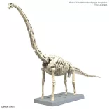 PLANNOSAURUS Brachiosaurus-MK67427