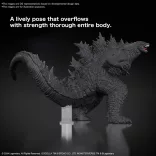 GODZILLA (2024) from "Godzilla x Kong: The New Empire"-MK67440