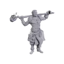 D&D Nolzur's Marvelous Miniatures: Archdruid & Martial Arts Adept-90695