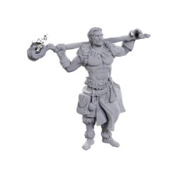 D&D Nolzur's Marvelous Miniatures: Archdruid & Martial Arts Adept-WZK90695