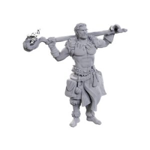 D&D Nolzur's Marvelous Miniatures: Archdruid & Martial Arts Adept-WZK90695
