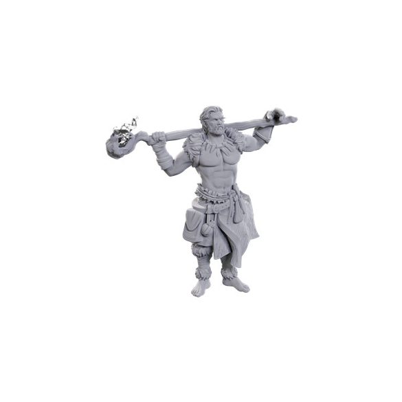 D&D Nolzur's Marvelous Miniatures: Archdruid & Martial Arts Adept-WZK90695