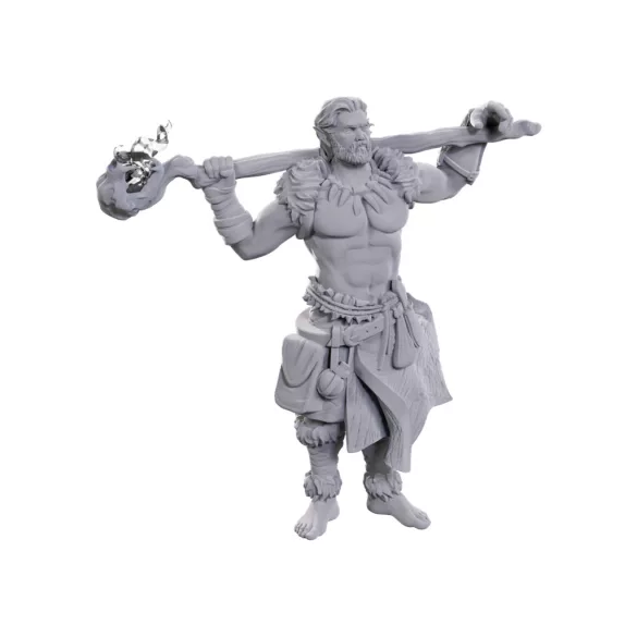 D&D Nolzur's Marvelous Miniatures: Archdruid & Martial Arts Adept-90695