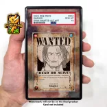 One Piece - Wanted Poster Display-