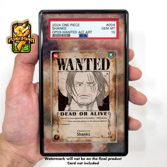 One Piece - Wanted Poster Display-